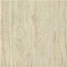 佛山市陶百金陶瓷有限公司瓷木地板T60030