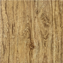 佛山市陶百金陶瓷有限公司瓷木地板T60031