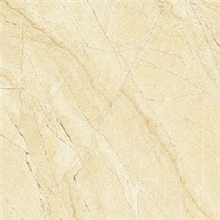 佛山瓷砖300*300mm地砖不透水地板砖厂家供应酒店装修工程优等品