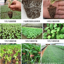 厂家供应优质育苗基质50升