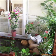 供应水性增粘剂增稠剂