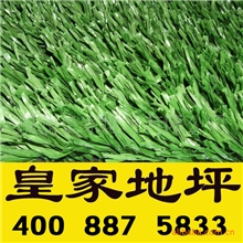 河北人造草坪|河北人造草坪价格|河北人造草坪技术|皇家地坪施工