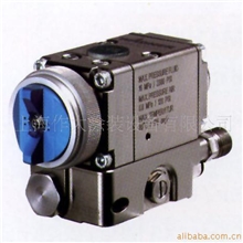 供应自动喷漆枪