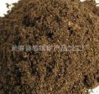 大量优质草炭土营养土草炭泥量大优惠