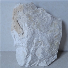 .【厂家直销】长期供应广西优质白胶泥