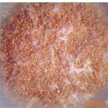 专业供应铁合金粉铁含量85%以上