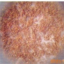 【专业品质】供应大量铁铜镍镍基合金粉