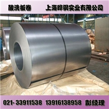 首钢特宇有花镀锌卷板