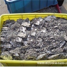 东莞废旧二手国产金川镍进口挪威镍加拿大镍长期供应
