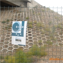 护栏网，波浪形护栏网，护栏，养殖围栏网，旅游景点网，护栏网厂