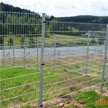 现货提供护栏网镀锌护栏网养鸡场围栏网牧场围栏网