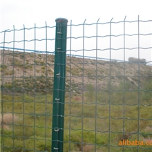 厂家直销护栏网波浪形荷兰网荷兰网草原荷兰网养鸡场隔离网