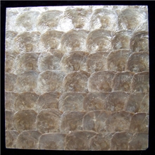时尚高档装饰材料软贝壳镜贝马赛克