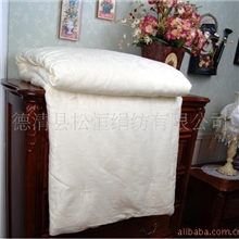 供应100%桑蚕丝被桑蚕丝净重5斤