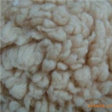 专业供应羊羔绒染色布及坯布（欢迎来电咨询）