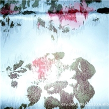 供190T涤塔夫帐篷布泼水5级PU3000阻燃抗紫外线190T涤塔夫帐篷布