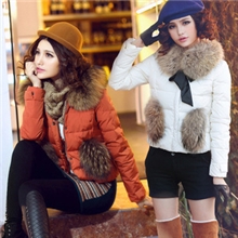 8031#2013新款秋冬装超大奢华毛领修身加厚短款通勤羽绒服女