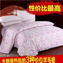 〖爆〗汉之亲磨毛羊毛被冬被加厚纯羊毛冬被芯|秋冬被特价批发