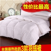 汉越家纺高档羽绒被加厚冬被子被芯南通厂家特价批发贴牌团购