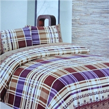 厂家生产新款压格芦荟绒欧款床裙四件套超低价火热销售中