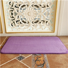 超柔珊瑚绒地毯厂家直销吸水地垫新品门垫防滑浴室垫特价