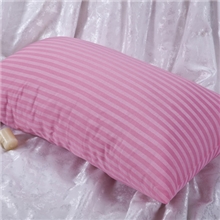 特价十孔单人枕芯真空包装枕头批发可代理销售团购代发供货