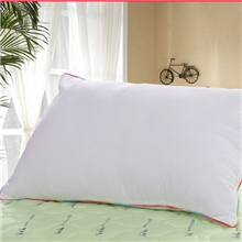 网销专供保健枕彩丝边磨毛枕枕芯护颈枕质量保证量大从优