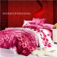 山东潍坊厂家批发天鹅绒被套床单被套不起球不掉色赠送录音