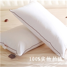 【天天特价】全棉高品质枕头枕芯护颈保健枕清仓特价2个包邮