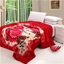 超柔加厚拉舍尔毛毯/双面双层加厚毛毯毯子床单特价清仓