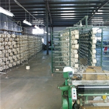 厂家直销绉全棉坯布双层小方格坯布多种全棉坯布【荐】