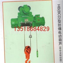 供应优质1吨2吨3吨5吨10吨防爆电动葫芦