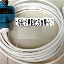 供应缆式液位变送器(图)首选上海仪华大量混批