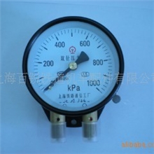 厂家直销双针双管压力表YZS102,YCS102,YCS100