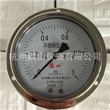 Y100BFZT全不锈钢轴向带边压力表轴向不锈钢表