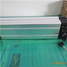 36V24AH锂电池电动车