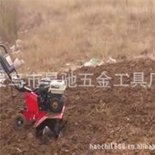 供应汽油动力农业工具多功能田园管理机