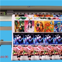 供应阿尔法五带头高精度写真机