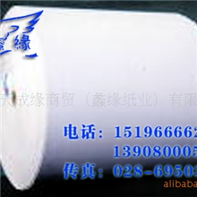 供应进口CAD绘图纸服装用纸印刷包装特种纸