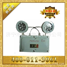 专门用途灯具BAJ52防爆应急灯