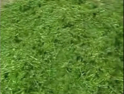 HFZX型打浆机【汇富牌】青饲料打浆机报价打浆机供应商