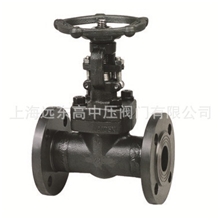 上海远东锻钢闸阀Z41Y-100C/160C/40CZ11H-16C质优价廉