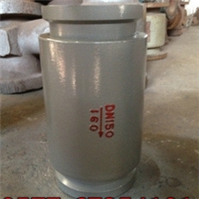 HG81A-160/250高压微阻卡箍式单向阀