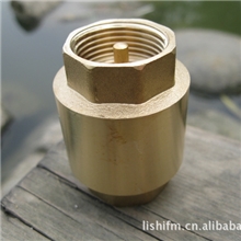 【直接拍】锻压黄铜立式止回阀弹簧自来水表前单向泵阀玉环铜阀芯