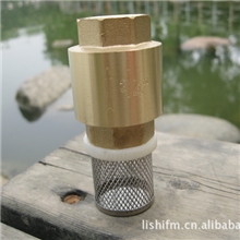 【直接拍】锻压黄铜立式止回阀加过滤网水泵底阀玉环铜阀弹簧铜芯