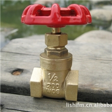 黄铜闸阀家用水阀水表前总开关水管道玉环铜阀门配件4分1/2&ldquo;DN15