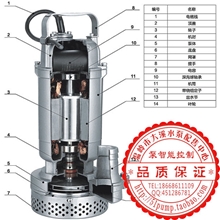 304材质全不锈钢精铸QDX3-25-0.75S潜水泵老百姓新界