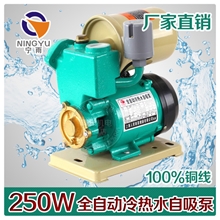 宁雨全自动家用自吸泵抽水泵冷热水管道自来水增压泵加压泵高扬程