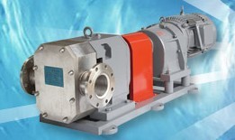 【厂价供应】凸轮不锈钢转子泵