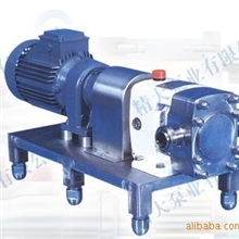 厂家直销变频调速型转子泵